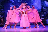 Рождественский праздник в воскресной школе прихода блаженной Ксении Петербургской деревни Медвежьи Озёра