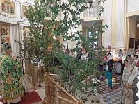 Праздник Святой Троицы в Преображенском кафедральном соборе Балашихи