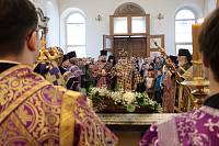 Великопостное посещение Николо-Берлюковской пустыни