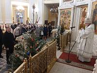 Рождество Христово в Преображенском кафедральном соборе Балашихи 
