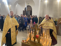 Семейная гостиная во Фрязине