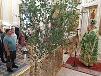 Праздник Святой Троицы в Преображенском кафедральном соборе Балашихи