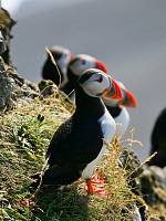 Путешествие православной молодежи Богородского благочиния в&nbsp;Исландию