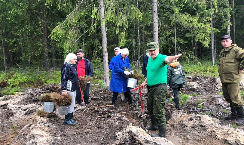 Посадка леса в Орехово-Зуевском благочинии